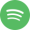 Spotify icon